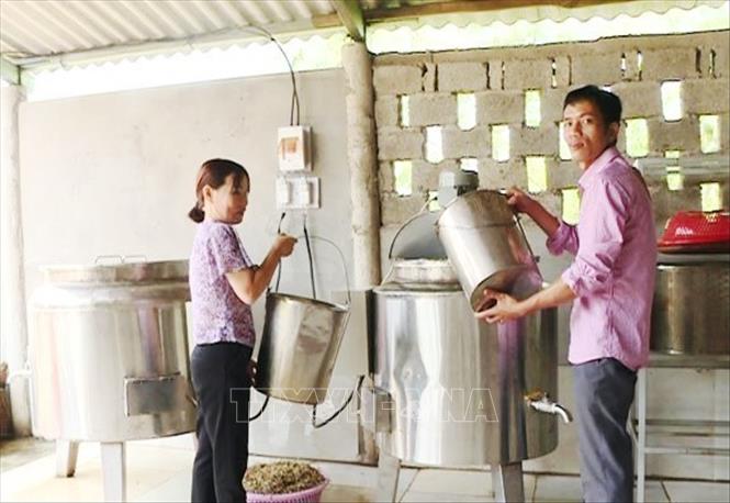 Anh Nguyễn Thanh Bình (ở xã Cự Nấm, huyện Bố Trạch, tỉnh Quảng Bình) đang thực hiện một số công đoạn trong quy trình chế biến cao cà gai leo. Ảnh: Võ Dung-TTXVN